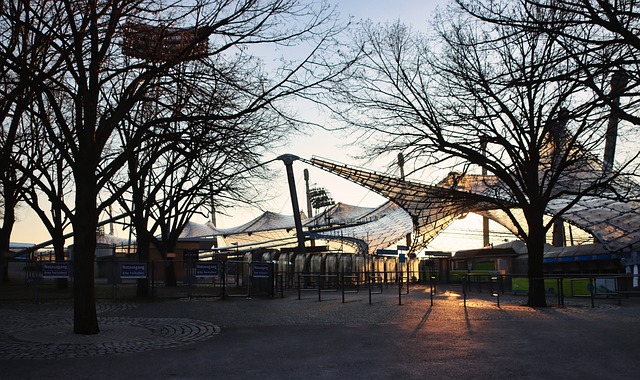 仅汇聚世界 仅汇聚世界