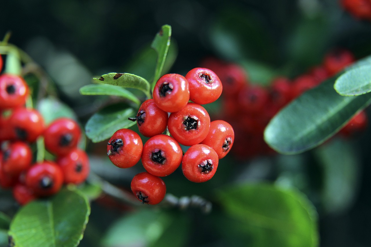 小赢1分也可以,阵容确实克你们,三巨头渐入佳境,湖勇2倍快乐.