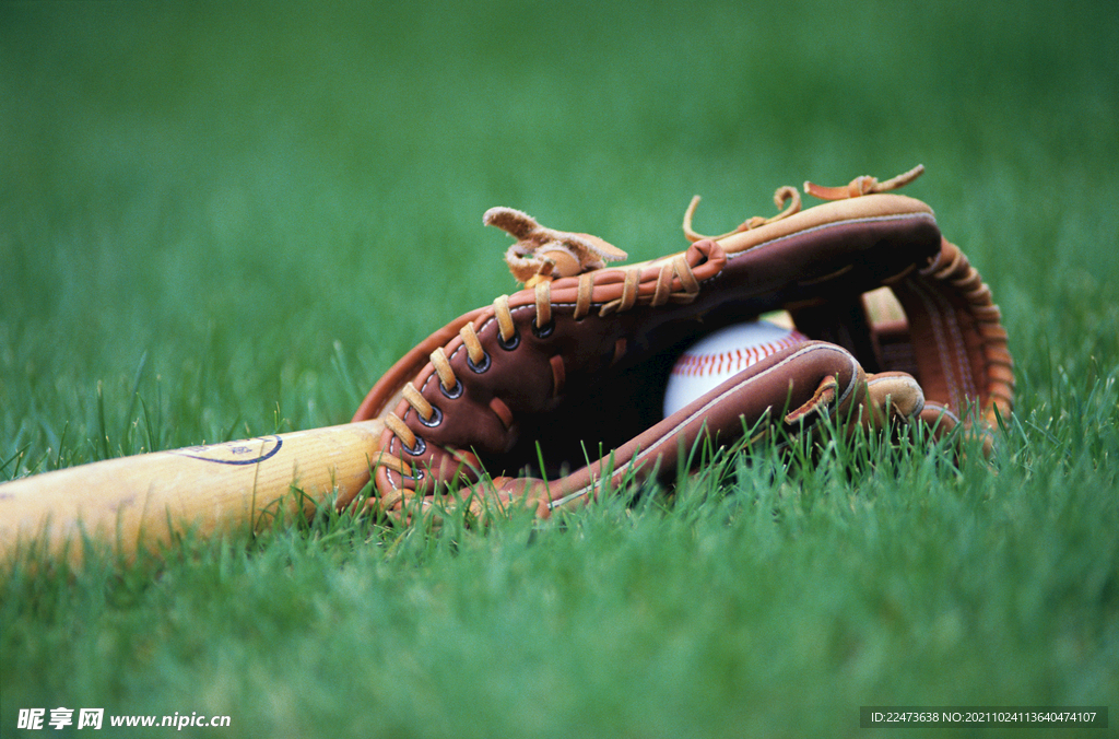 嗅觉使他在 嗅觉使他在