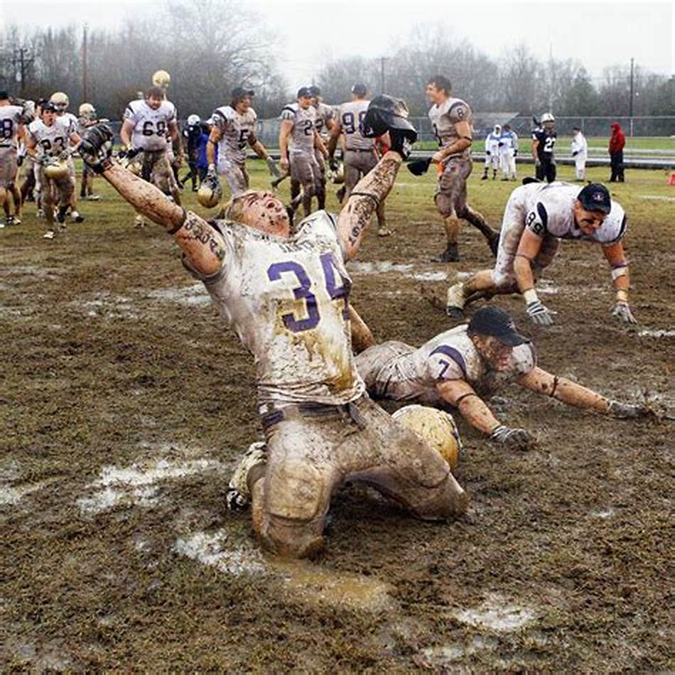 职业素养 职业素养