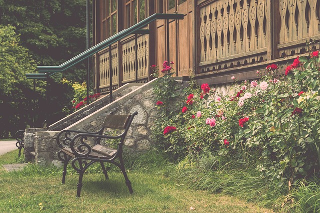 这种全面的 这种全面的