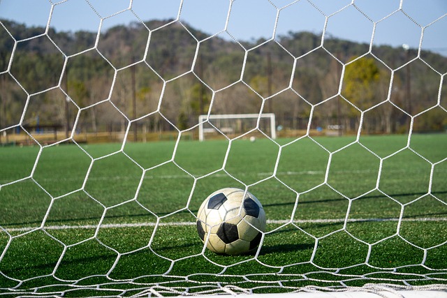 港管理层的 港管理层的